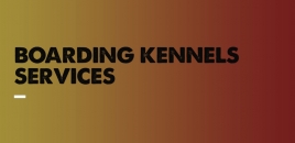 Boarding Kennels Services | Yarrambat Yarrambat